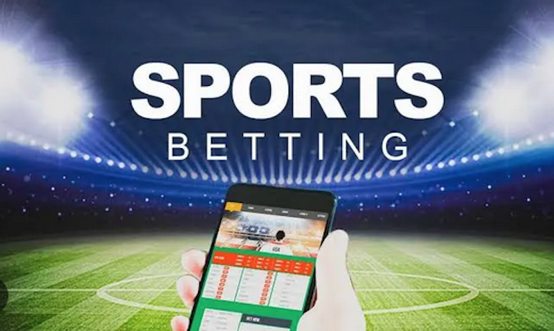 Betwinner Your Guide to Online Betting Success -392609061