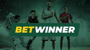 BetWinner Mobile App A Comprehensive Guide