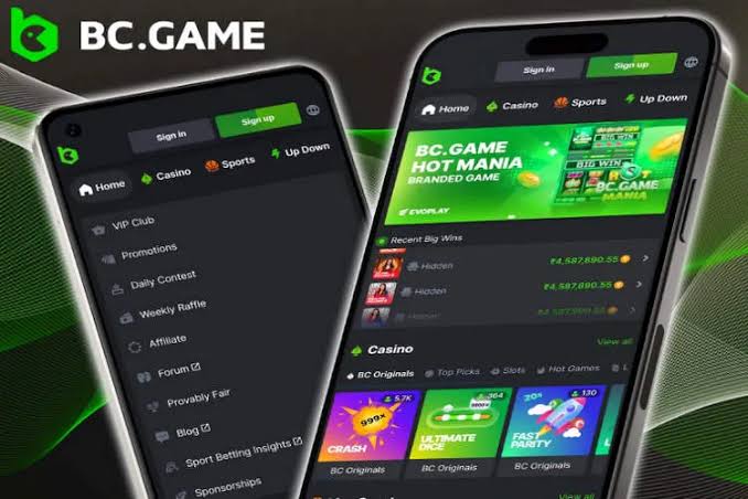 Exploring the BC.Game Mirror App Your Gateway to Uninterrupted Gaming Exploring the BC.Game Mirror App Your Gateway to Uninterrupted Gaming